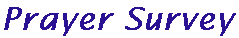 topsurvey.gif (620 bytes)